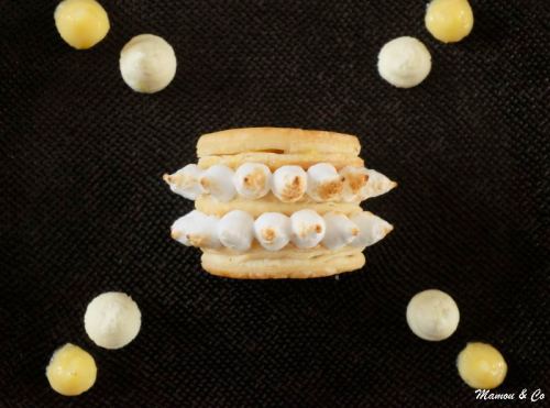 millefeuille solaire aux agrumes_1